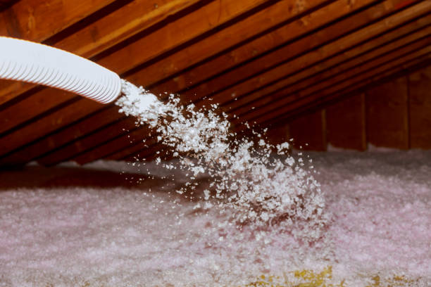 Best Insulation Installation Services in Harveys Lake, PA