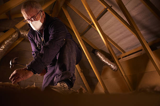 Best Specialty Insulation in Harveys Lake, PA